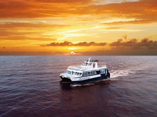 From Ma'alaea: Sunset Dinner Cruise Aboard the Quicksilver - Common questions