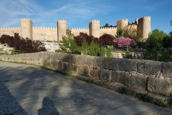 From Madrid : Full-Day Avila and Segovia ComBo Tour (with Transportation) - Tour Ending and Company Details