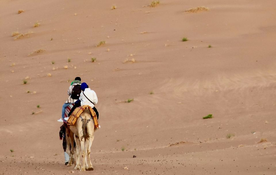 From Marrakech: 2-Day Trip to Zagora Desert With Berber Camp - Common questions