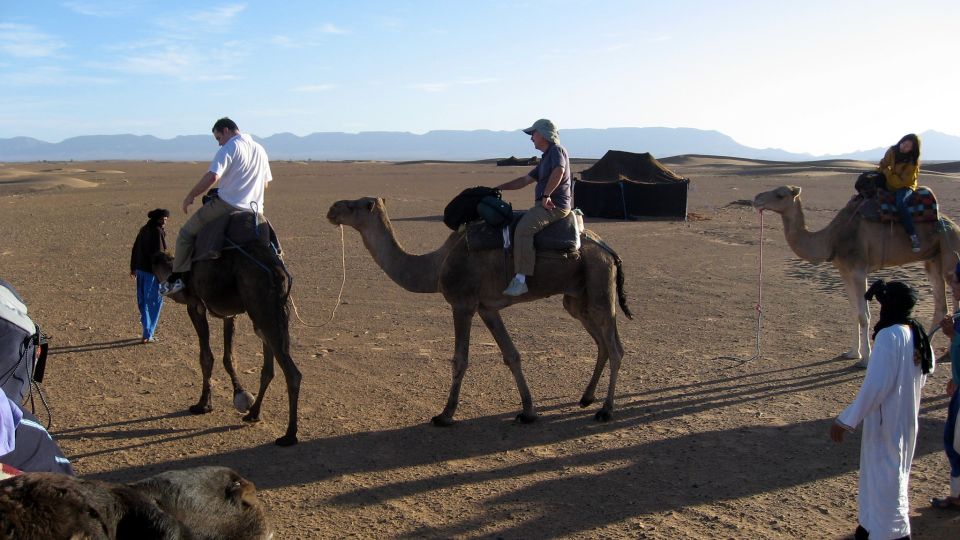 From Marrakech: 3-Day Desert Tour to Fes - Last Words