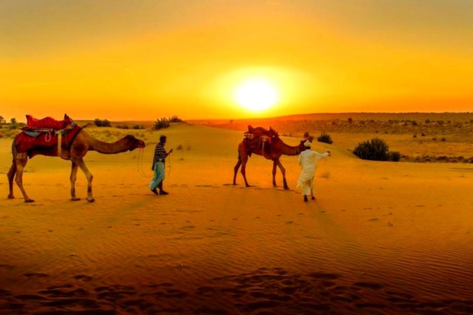 From Marrakech : Agafay Desert Sunset Dinner With Camel Ride - Common questions
