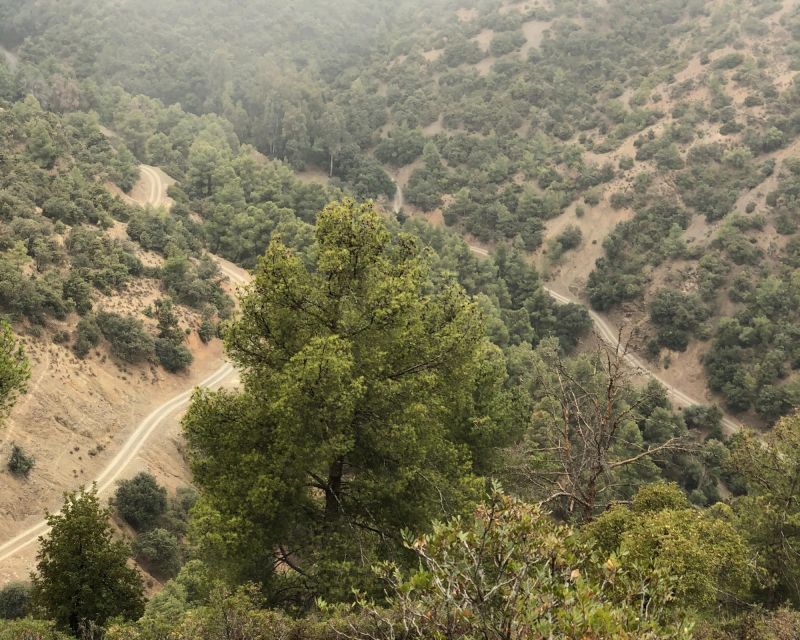 From Marrakech: Atlas Mountain and Berber Village Bike Trip - Last Words