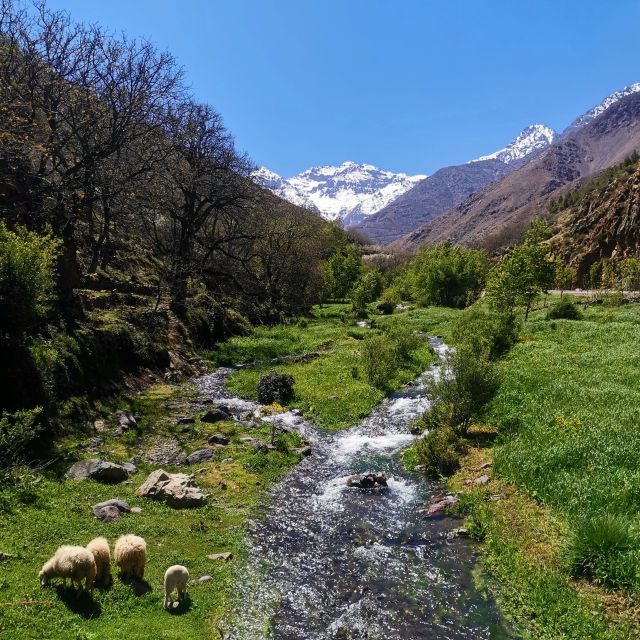 From Marrakech : Atlas Mountain, Berber Villages, Day Trip - Interacting With Local Guides