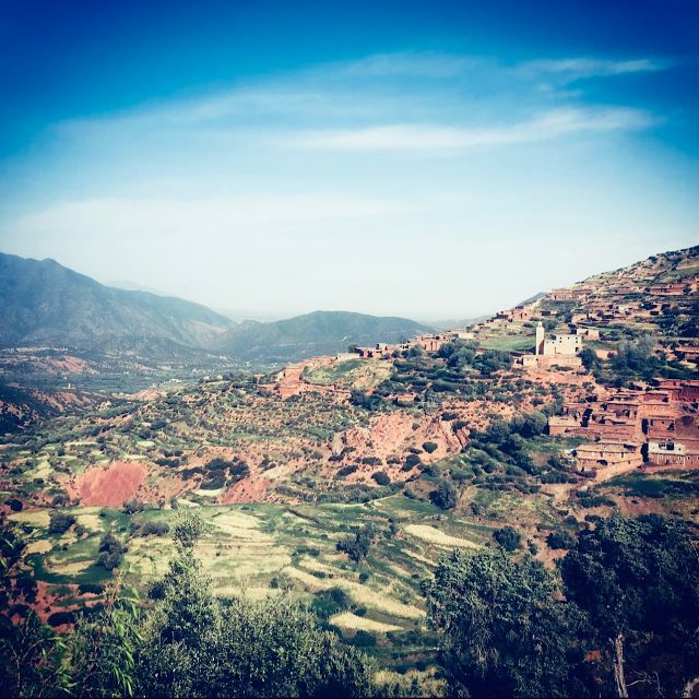 From Marrakech: Atlas Mountains & Toubkal Museum Day Tour - Additional Info and Things to Do