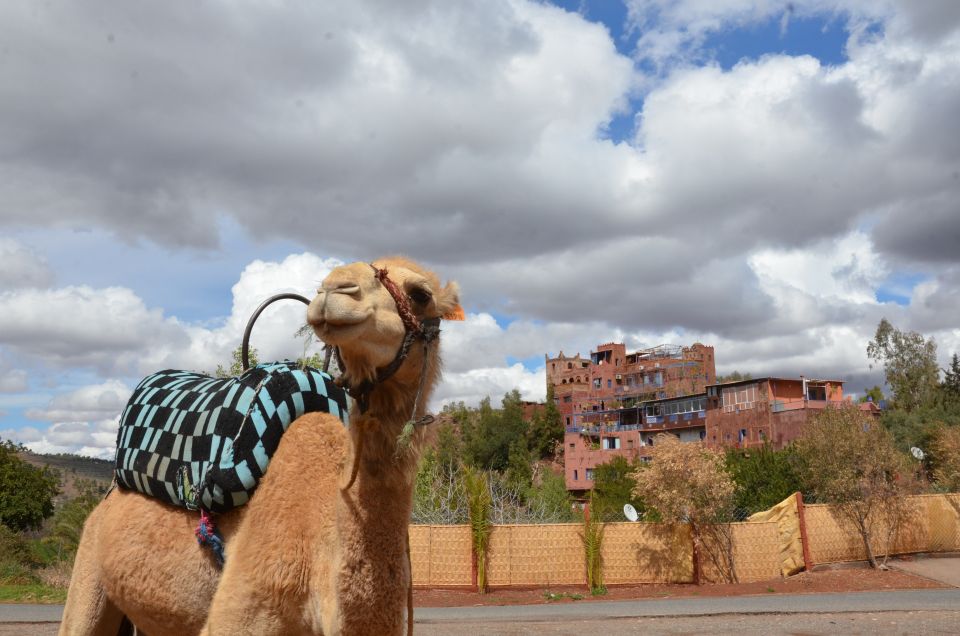 From Marrakech: Ourika Valley Day Trip With Lunch - Additional Tips