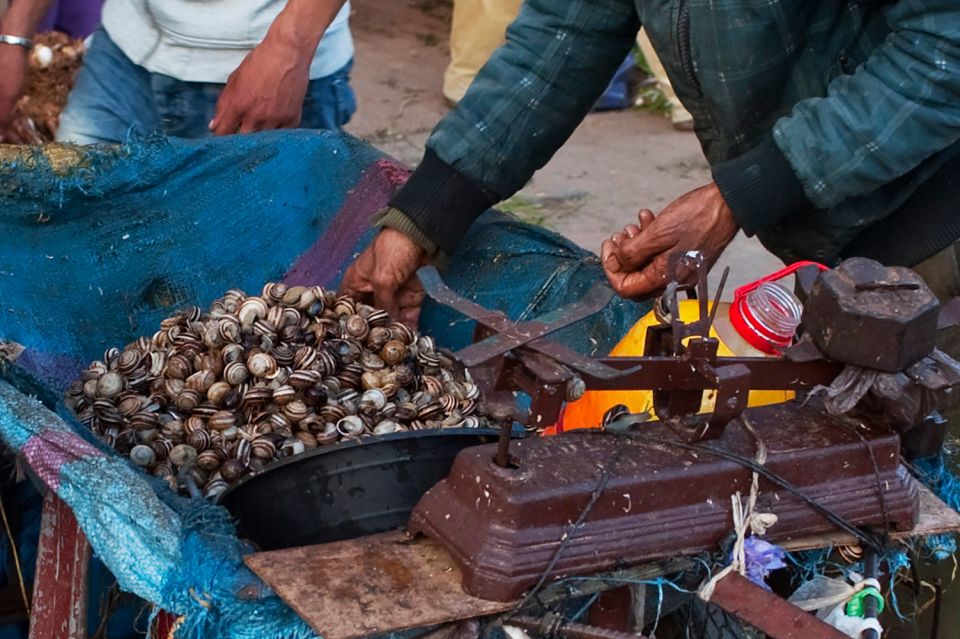 From Marrakech: Private Full-Day Essaouira Tour - Last Words