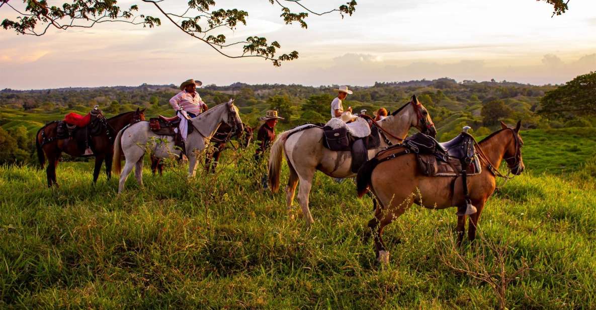 From Medellin; (All-In) The Real Horseback Ranch Experience - Additional Information