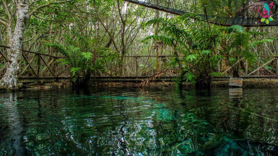 From Merida: Honey and Coconut Eco-Tour - Last Words