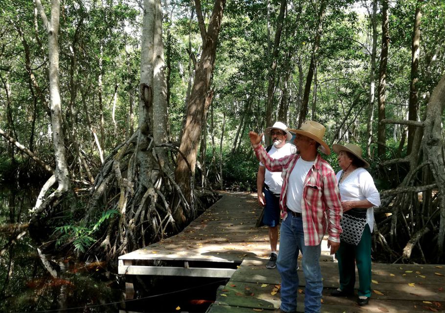 From Mérida: Ria Celestun Biosphere Reserve Tour - Last Words