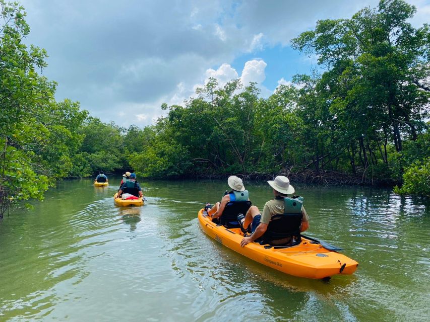 From Naples, FL: Marco Island Mangroves Kayak or Paddle Tour - Common questions