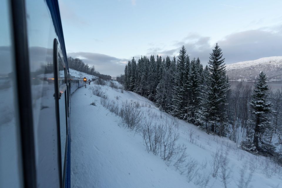 From Narvik: Round-Trip Arctic Train Ride on Ofoten Railway - Common questions