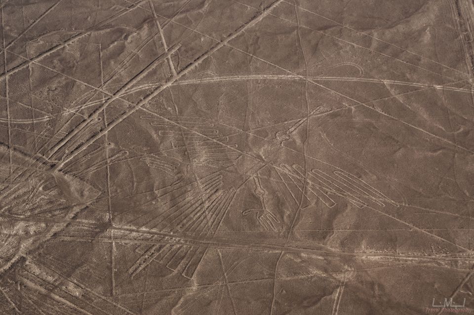 From Nazca: 35-Minute Flight Over Nazca Lines - Pickup and Transfer Details