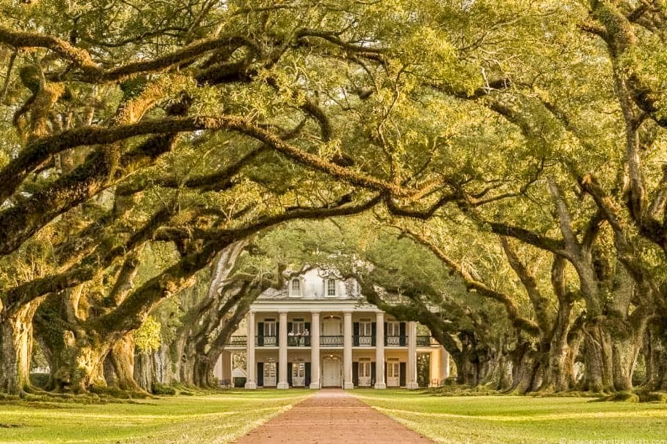 From New Orleans: Oak Alley Plantation Tour - Last Words