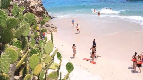 From Nueva Vallarta: Marietas Islands Hidden Beach Tour - Snorkeling Experience