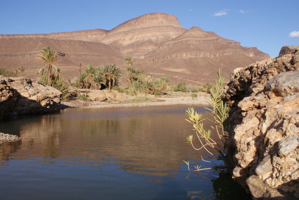 From Ouarzazate: Zagora and Draa Valley Day Tour - Last Words