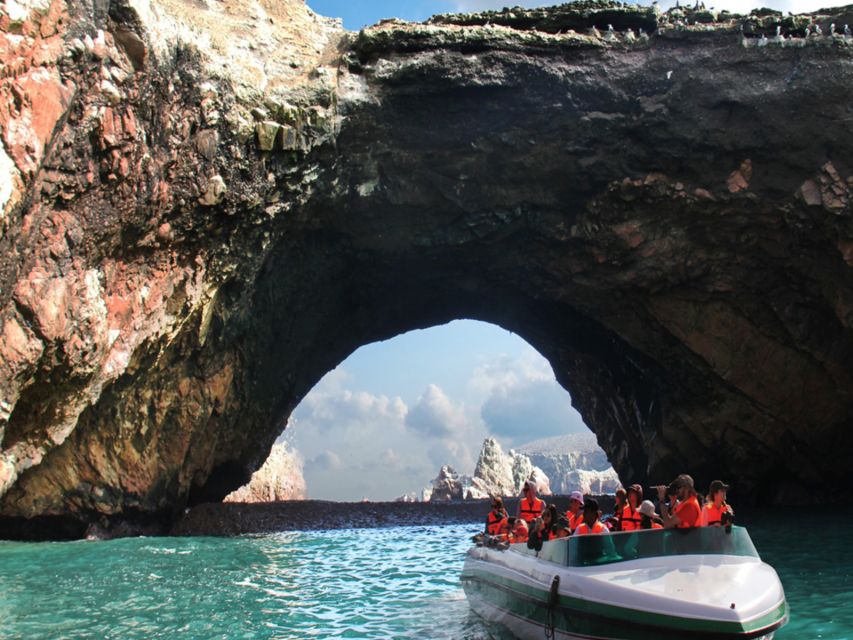 From Paracas: Ballestas Island Boat Tour With Entrances - Wildlife Viewing Experience