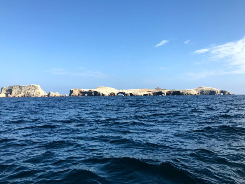 From Paracas or Pisco: Ballestas Islands Private Boat Trip - Customized Private Tour