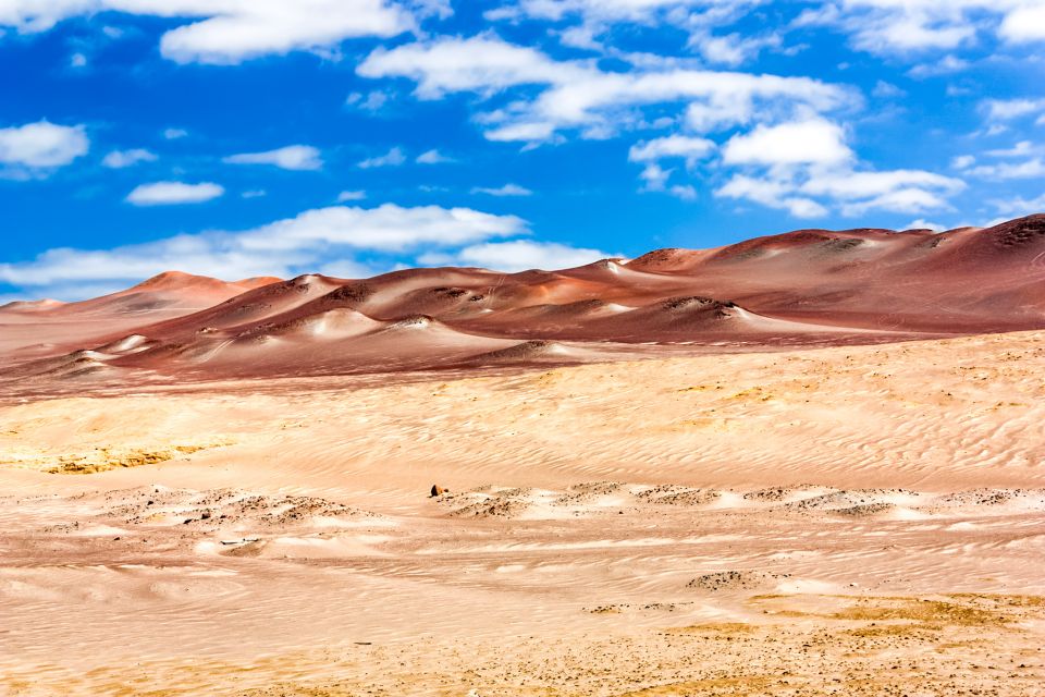 From Paracas: Paracas National Reserve Private Tour - Last Words