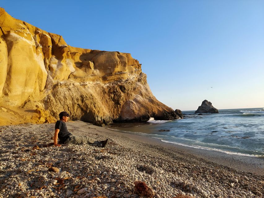 From Paracas: Private Tours Paracas National Reserve - Local Seafood Dining Options