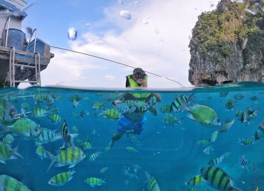From Phi Phi : Maya Bay Sunset Cruise and Plankton Swimming - Common questions