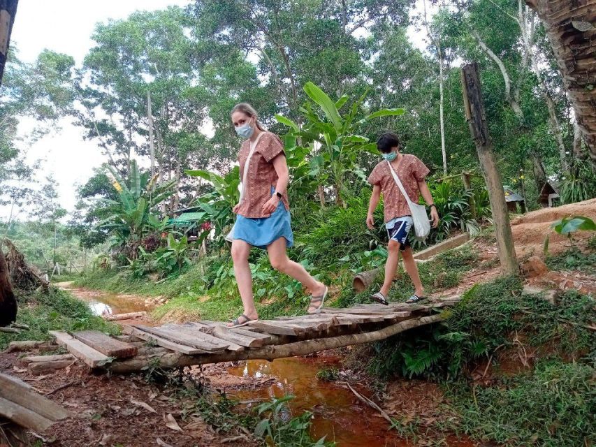 From Phuket: Ethical Elephant Interactive Trek and Tour - Authentic Thai Lunch Included