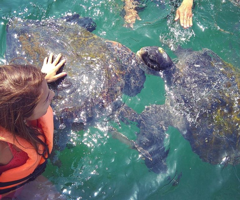 7 from piura excursion to mancora swimming with turtles From Piura Excursion to Mancora Swimming With Turtles