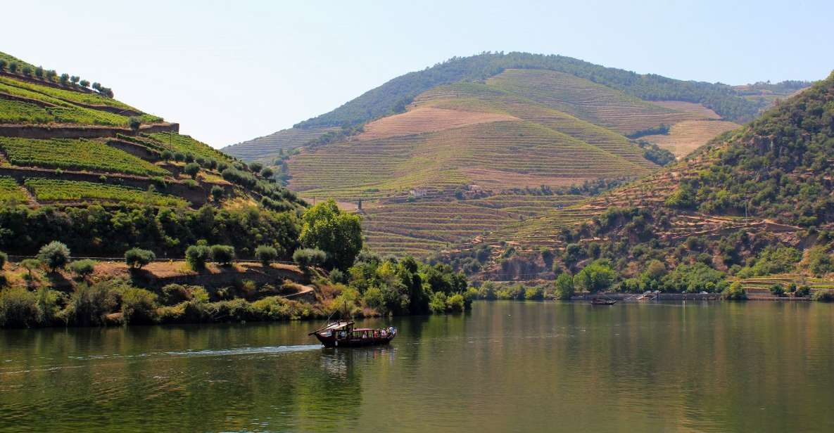 From Porto: Douro Valley Wine Tour, Tastings, Lunch & Cruise - Gift Options and Reservations
