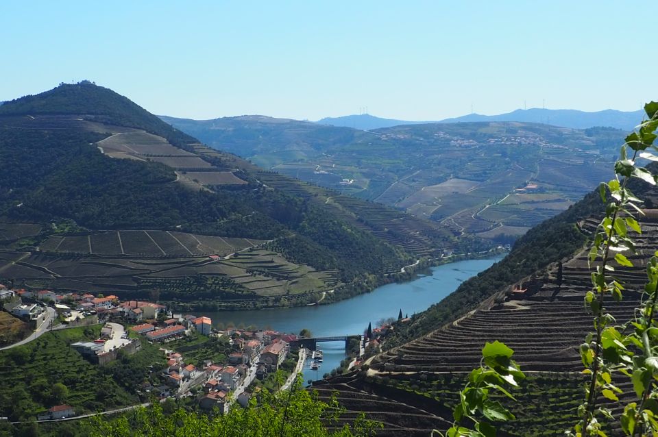 From Porto: Douro Valley Wine Tour With River Cruise & Lunch - Common questions