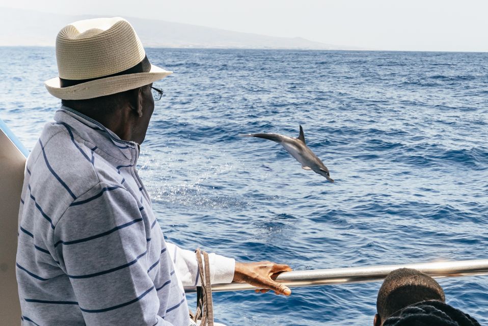 From Puerto Rico De Gran Canaria: Dolphin Watching Cruise - Activity Schedule