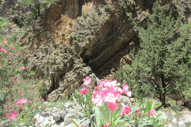 From Rethymnon Areas: Private Trip to Samaria Gorge Full-Day - Last Words