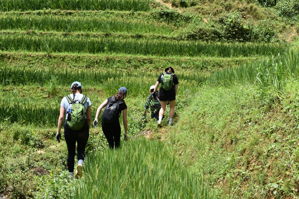 From Sapa: 1-Day Trekking Through Terraces Rice Fields - Common questions