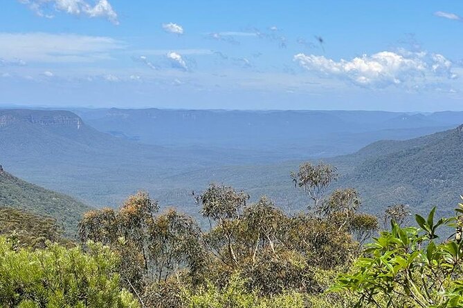 From Sydney: Blue Mountains & Featherdale - Day Tour - Weather Considerations