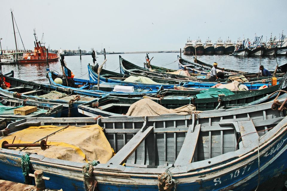 From Taghazout: Agadir Markets & Argan Oil Guided Tour - Last Words