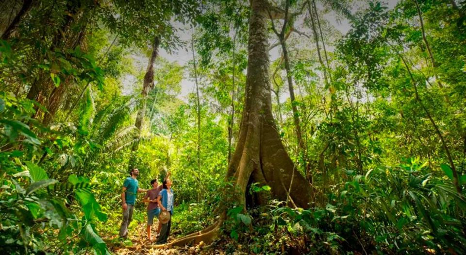 From Tambopata: in the Heart of Sandoval Lake 4d/3n - Last Words