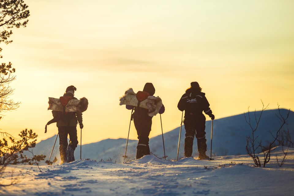 From Tromsø: Guided Husky Snowshoe Hike and Husky Camp Visit - Experience Description