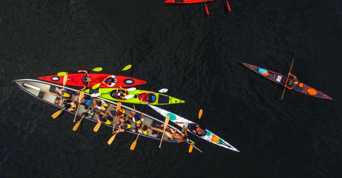 From Vaxholm: Stockholm Archipelago Big Canoe Adventure - Group Fun in Big Canoe