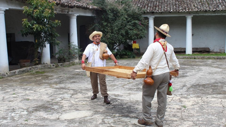 From Veracruz or Boca Del Río: Coffee Tour in Coatepec - Coatepec Town Exploration