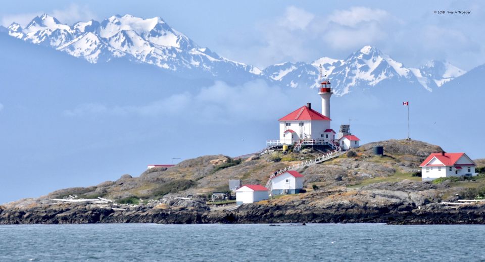 From Victoria: Whale Watching Tour by Zodiac Boat - Customer Testimonials
