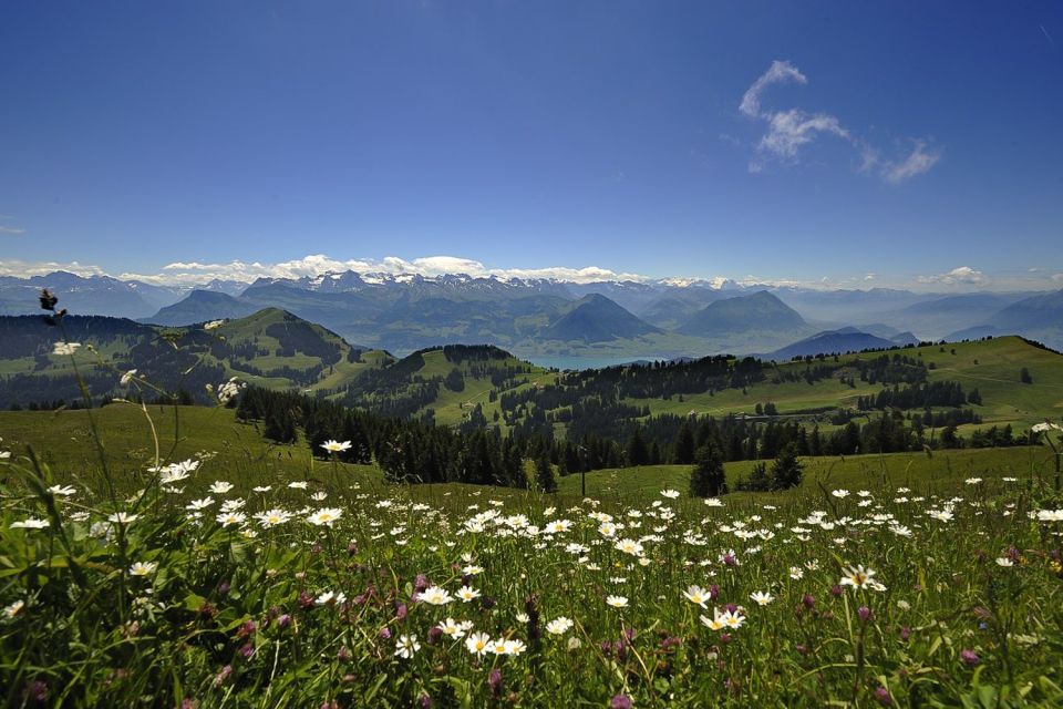 From Zürich: Guided Day Trip to Rigi and Lake Lucerne - Last Words