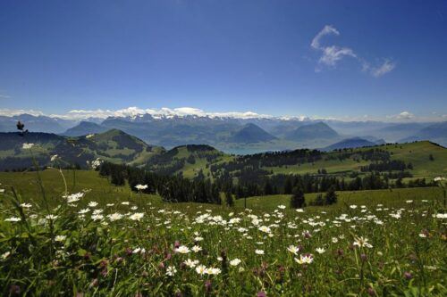 From Zürich: Guided Day Trip to Rigi and Lake Lucerne - Last Words