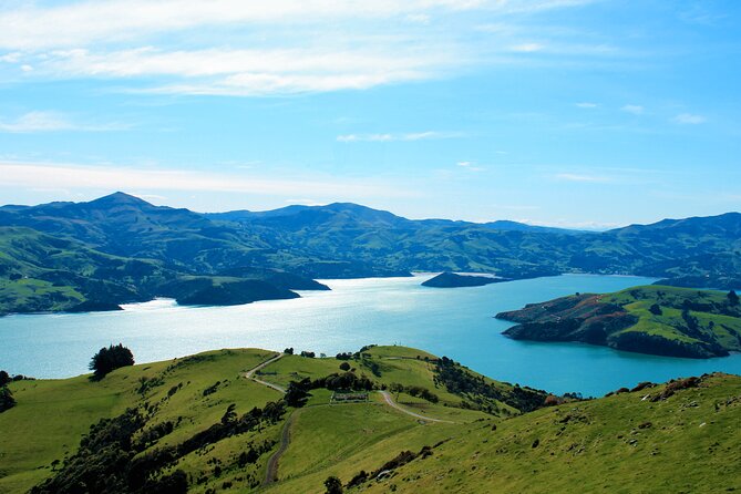 Full-Day Akaroa Tour With Penguins Safari and Wine Tasting - Tour Operator and Copyright Notice