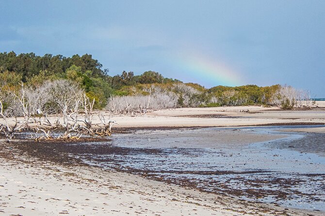 Full Day Birdlife Tour in Bribie Island - Last Words