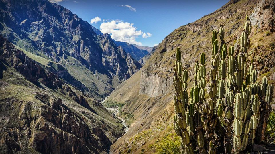 Full-Day Colca Canyon Tour From Arequipa - Customer Feedback