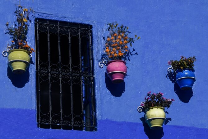 Full Day Experience to Chefchaouen From Fez With Local Expert - Last Words