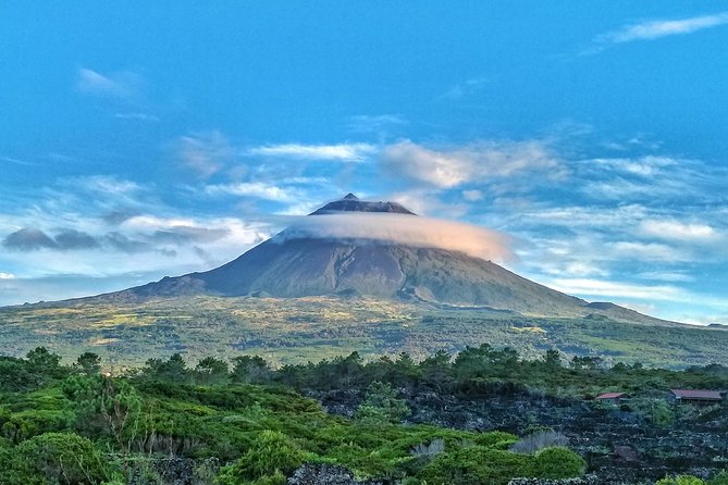 Full-Day Guided Tour in Pico Island - Logistics