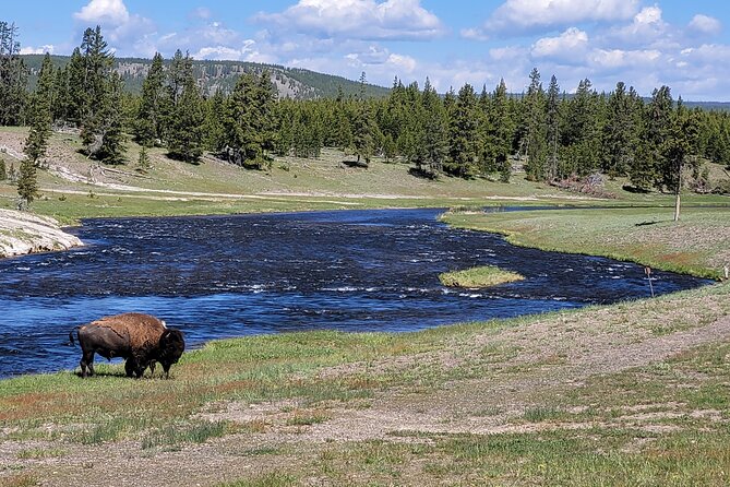 Full-Day Guided Yellowstone Day Tour - Last Words