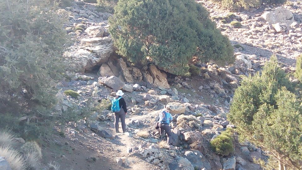 Full-Day Hike to Tasserimoute Plateau 2640m From Marrakech - Last Words