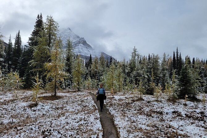 Full-Day Larch Hike, Banff Departure - Last Words