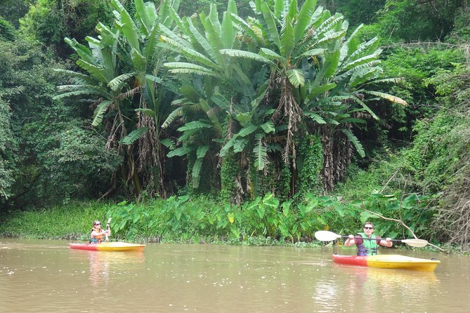 Full-Day Leisure River Kayaking Into Mae Taeng Forest Reserve From Chiang Mai - Common questions