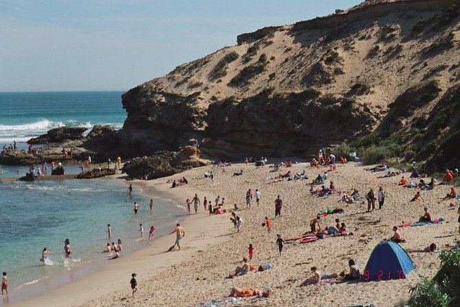 Full-Day Mornington Peninsula Sightseeing Tour From Melbourne - Important Booking Notes